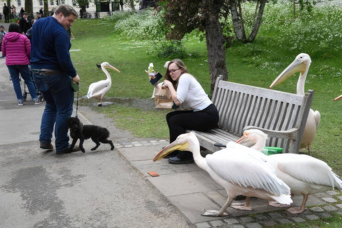 Gewoon een verzameling hilarische foto's #1760