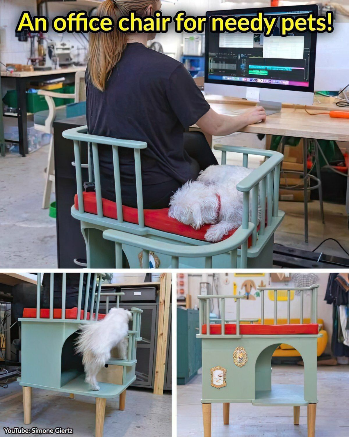 Gewoon een verzameling hilarische foto's #1761