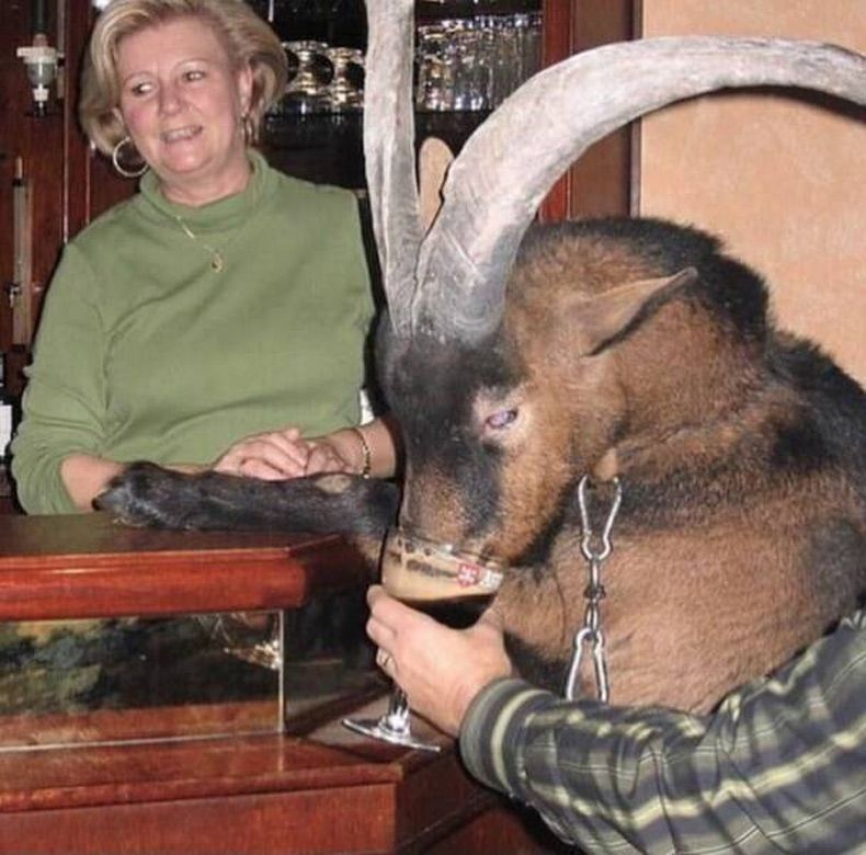 Gewoon een verzameling hilarische foto's #1750