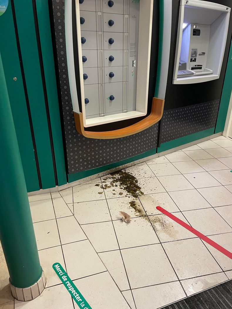 Gewoon een verzameling hilarische foto's #1751