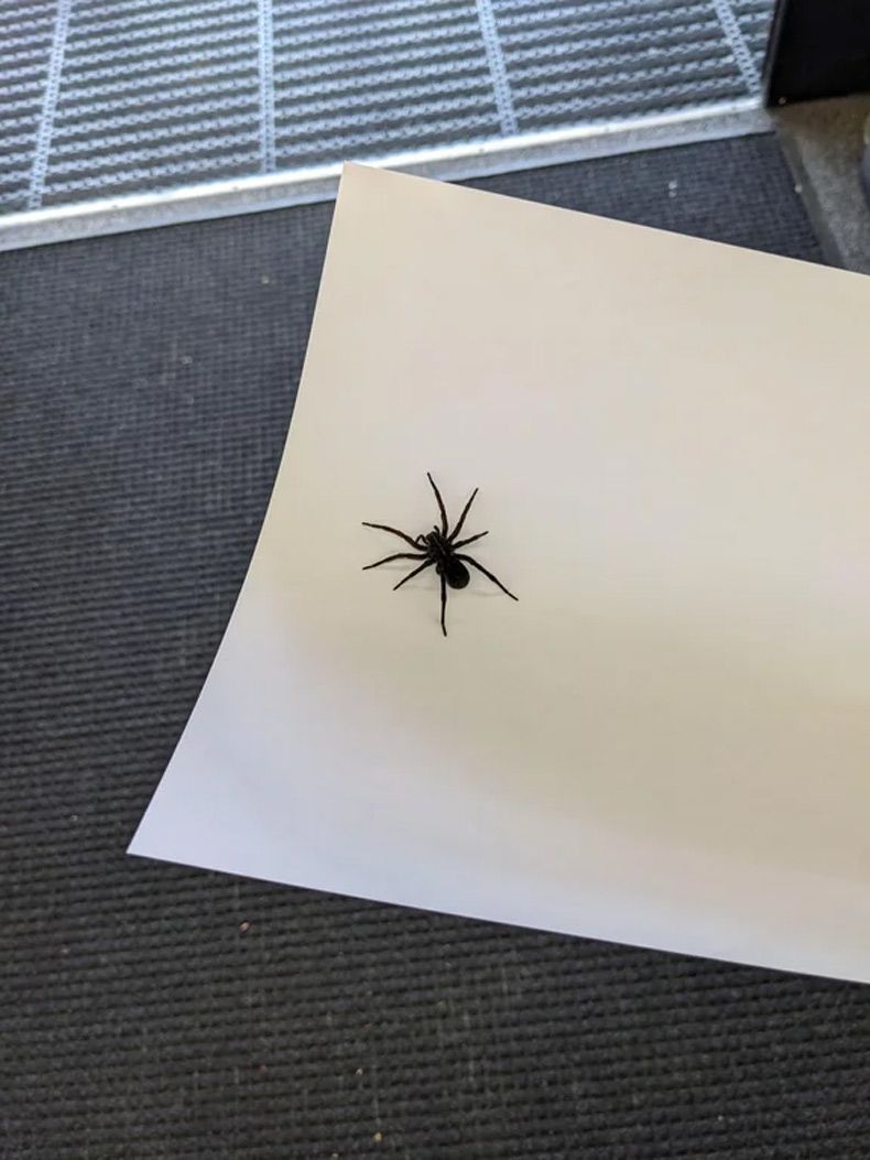 Gewoon een verzameling hilarische foto's #1751
