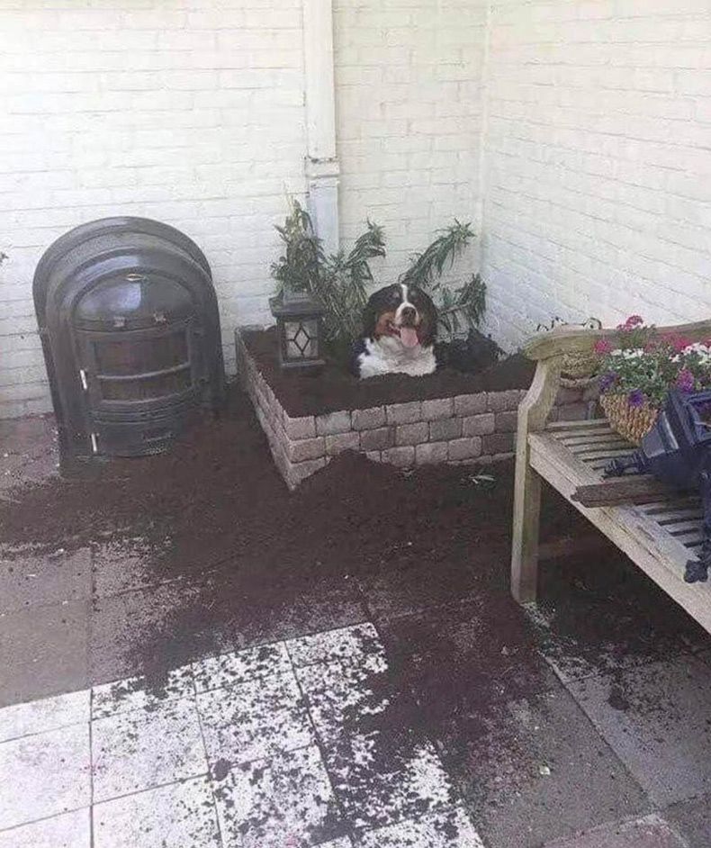 Gewoon een verzameling hilarische foto's #1751