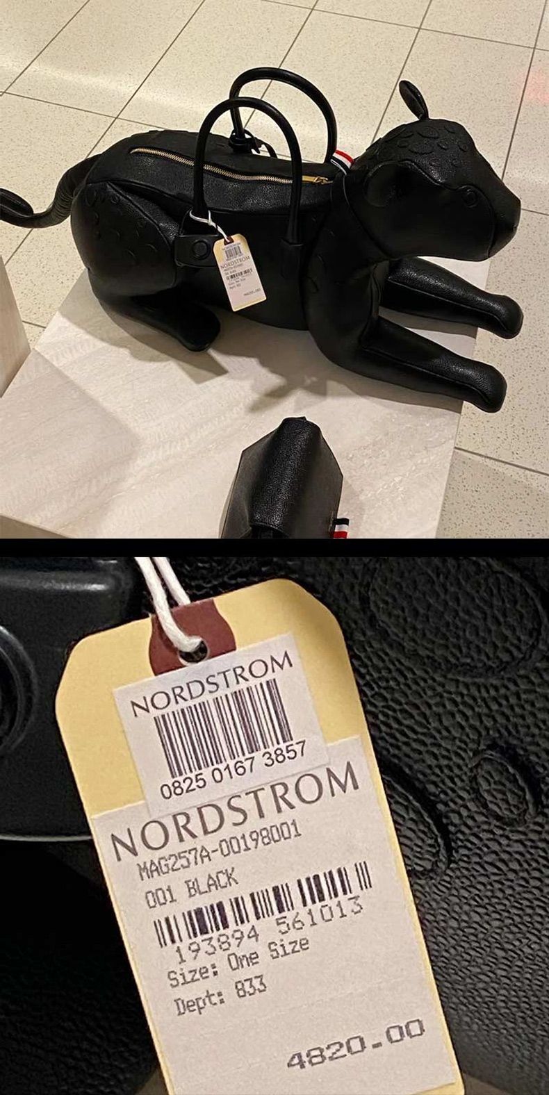 Gewoon een verzameling hilarische foto's #1751