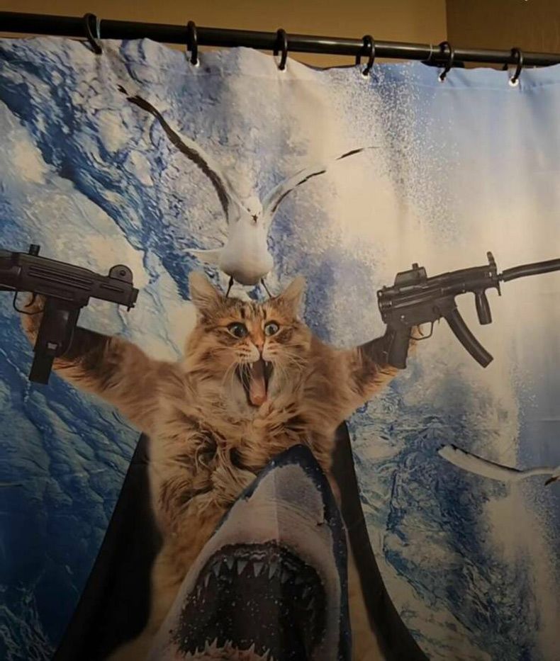 Gewoon een verzameling hilarische foto's #1753