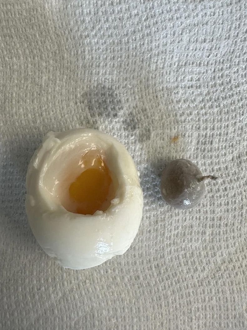 Gewoon een verzameling hilarische foto's #1753