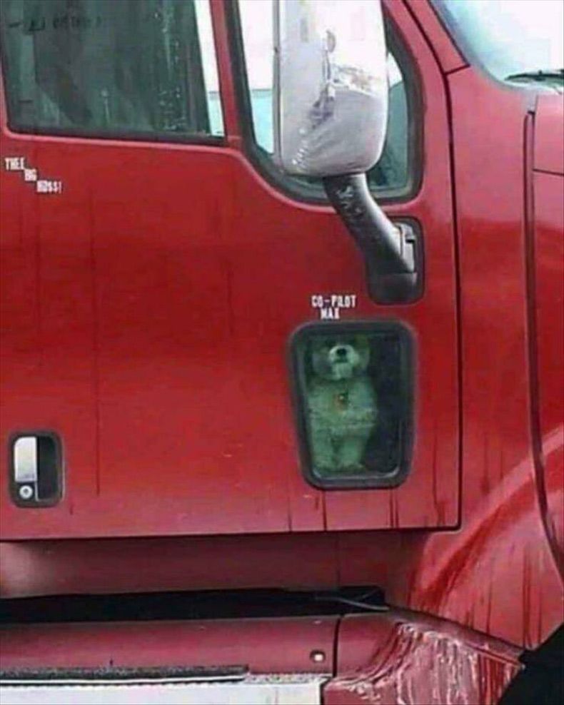 Gewoon een verzameling hilarische foto's #1754