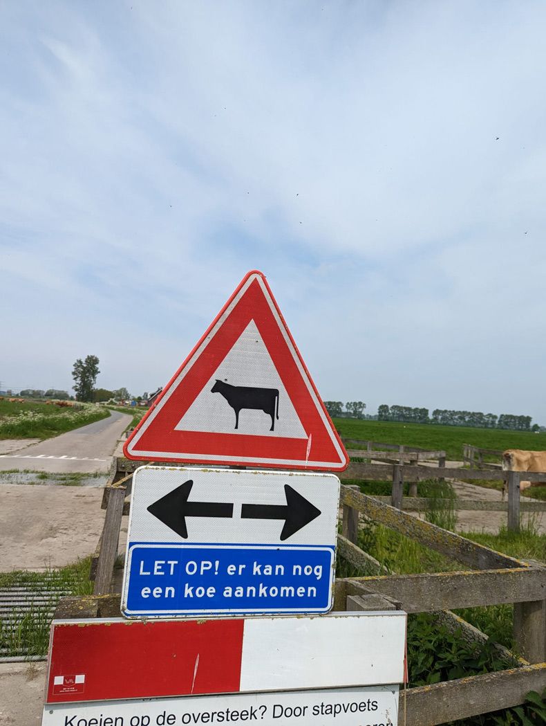 Gewoon een verzameling hilarische foto's #1754