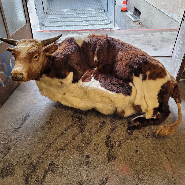 Gewoon een verzameling hilarische foto's #1755