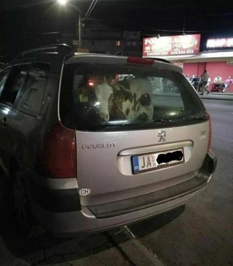 Gewoon een verzameling hilarische foto's #1755