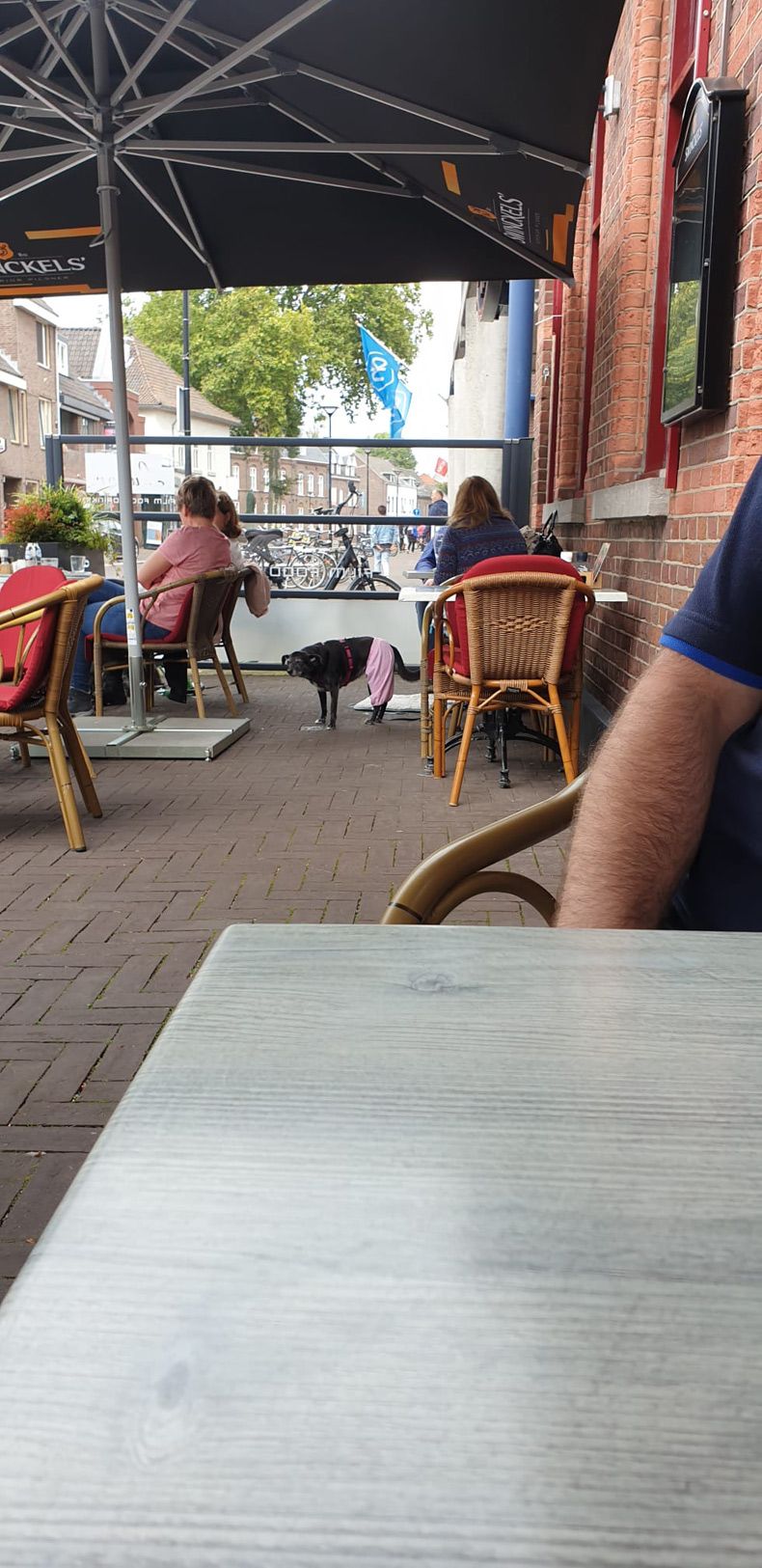 Gewoon een verzameling hilarische foto's #1756
