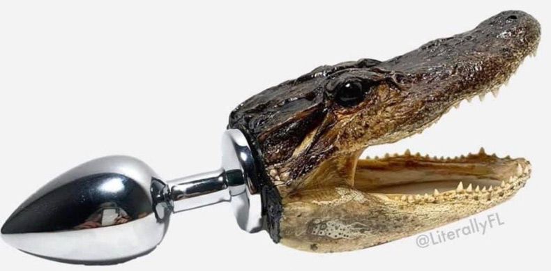 Gewoon een verzameling hilarische foto's #1756