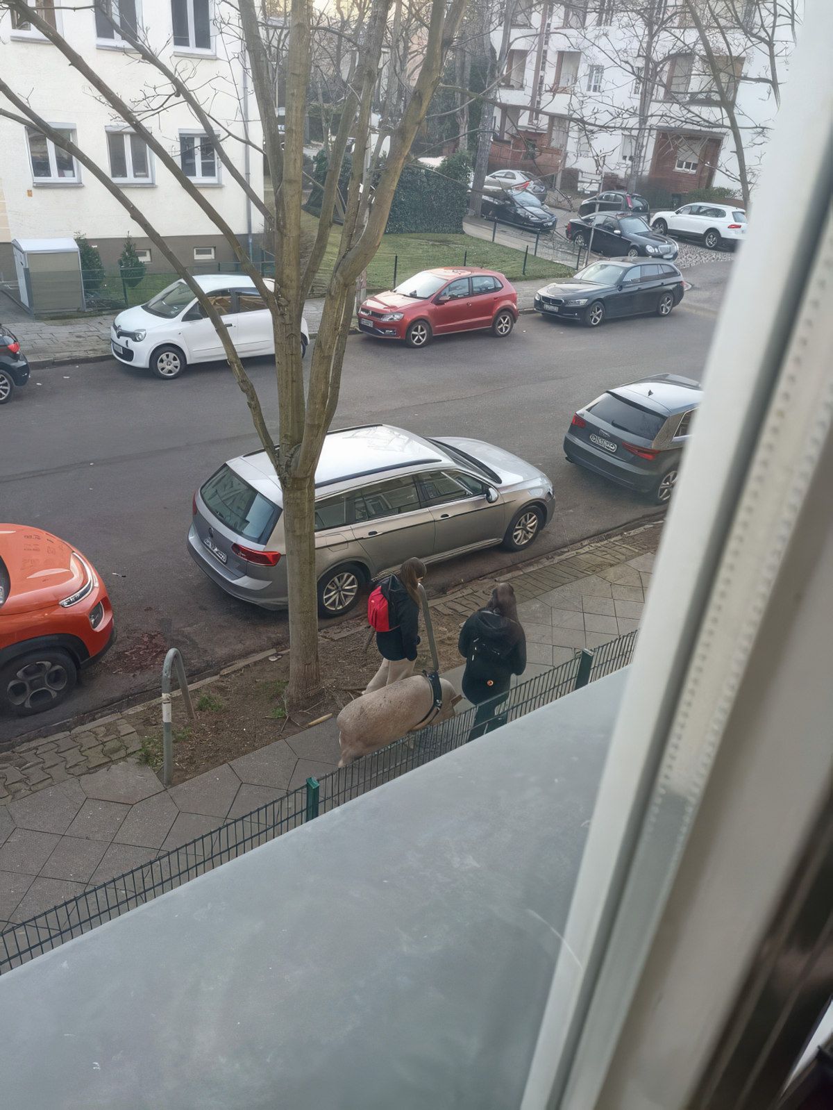 Gewoon een verzameling hilarische foto's #1758