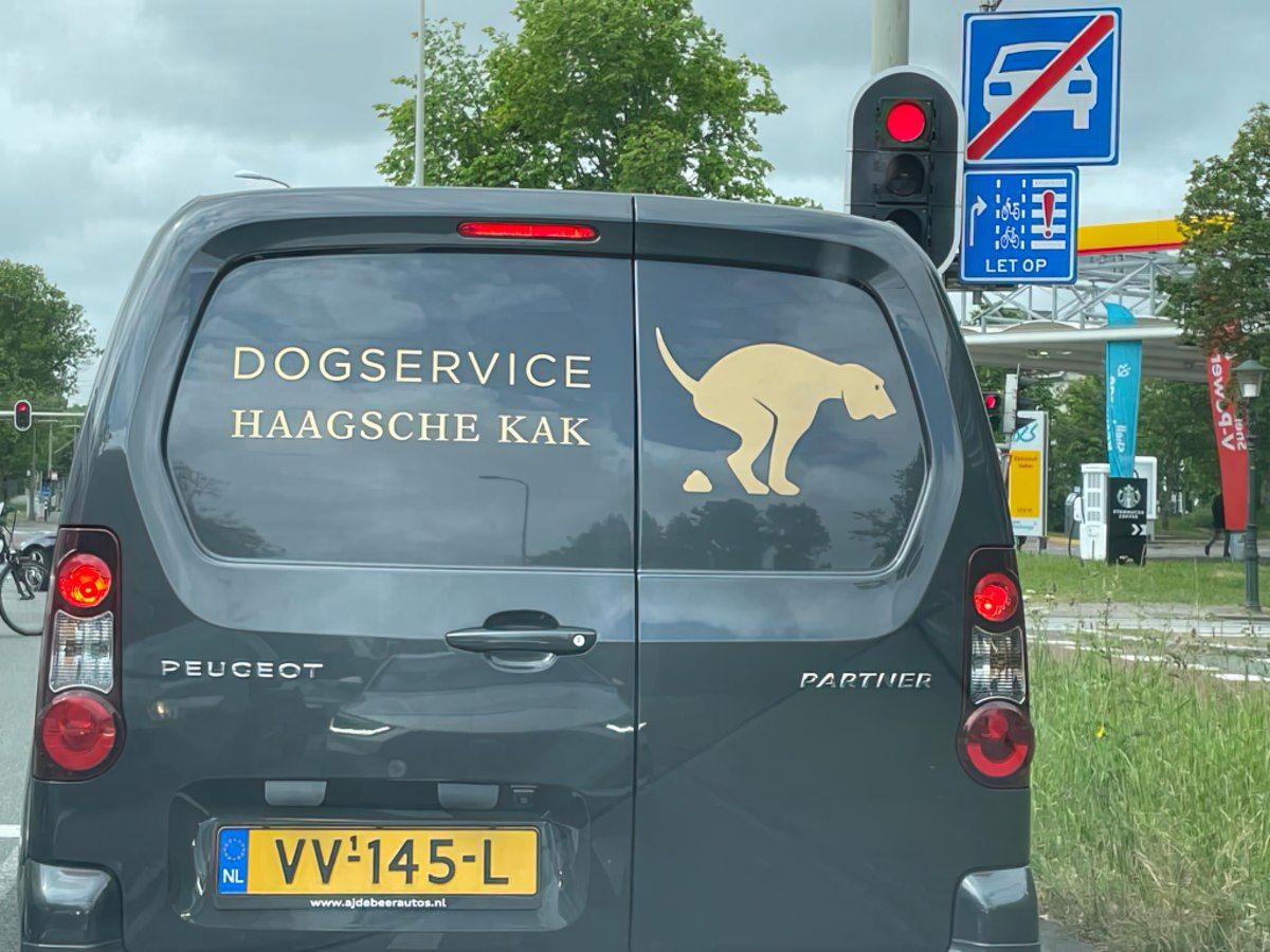 Gewoon een verzameling hilarische foto's #1758