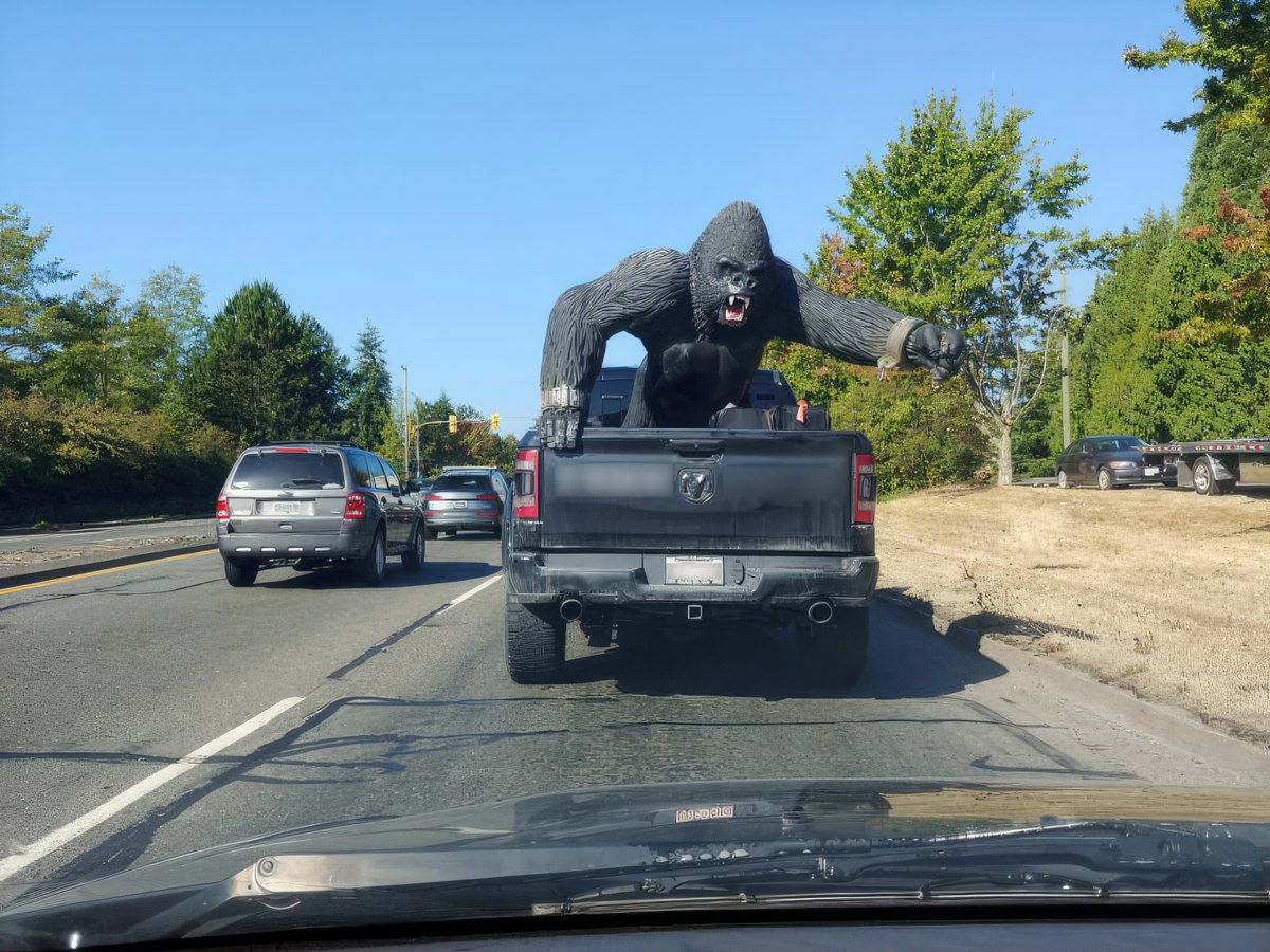 Gewoon een verzameling hilarische foto's #1759