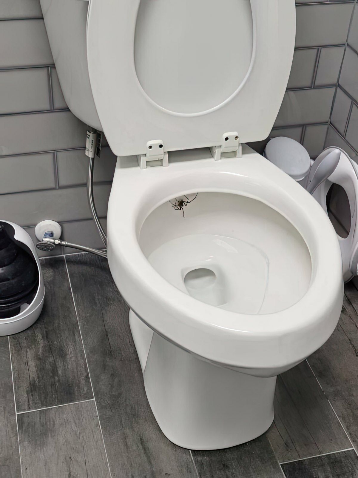 Gewoon een verzameling hilarische foto's #1759