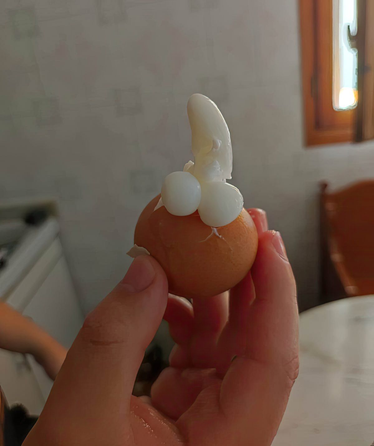 Gewoon een verzameling hilarische foto's #1759