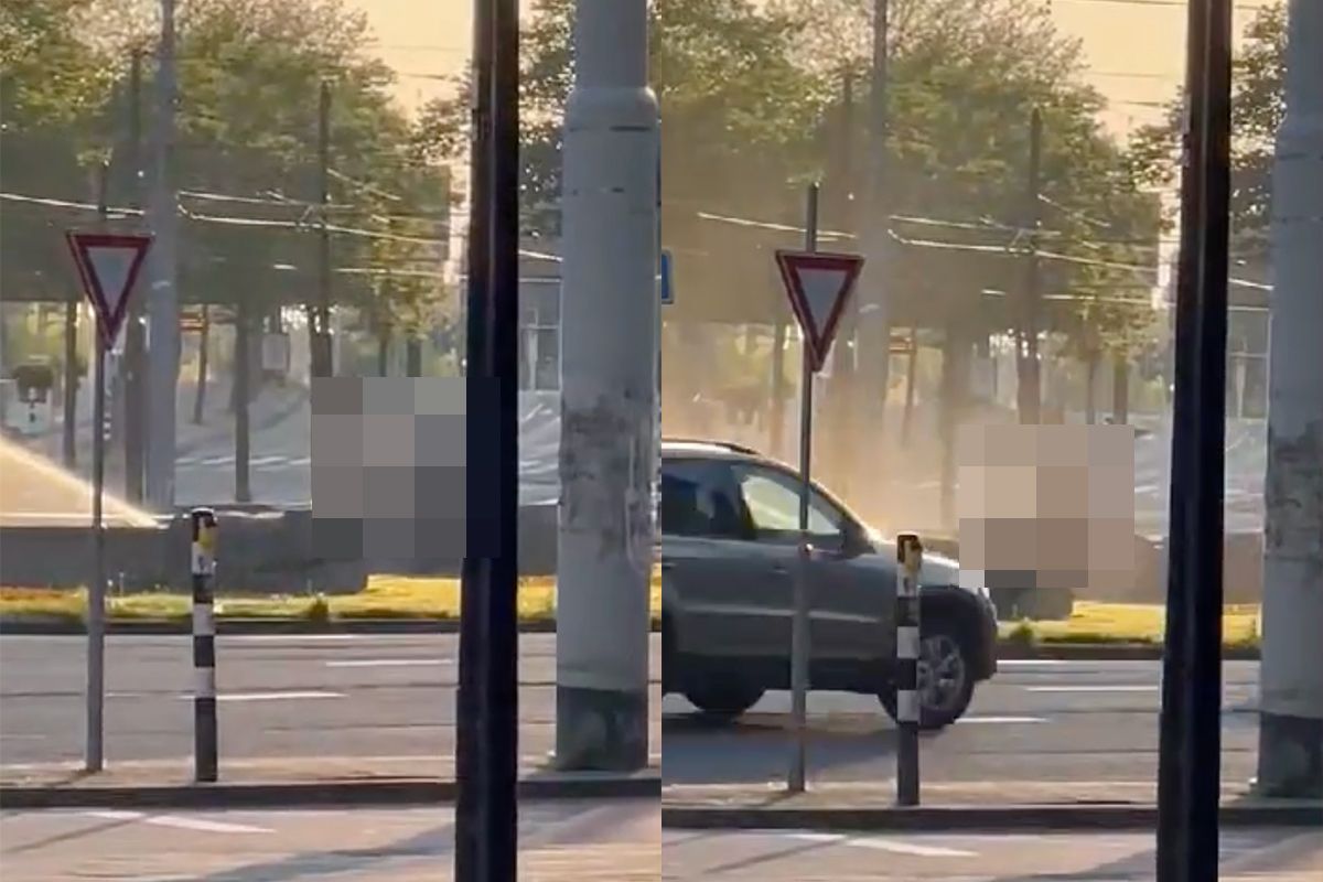 Even klikken om de video te bekijken. Let op, tikkie gewaagde beelden