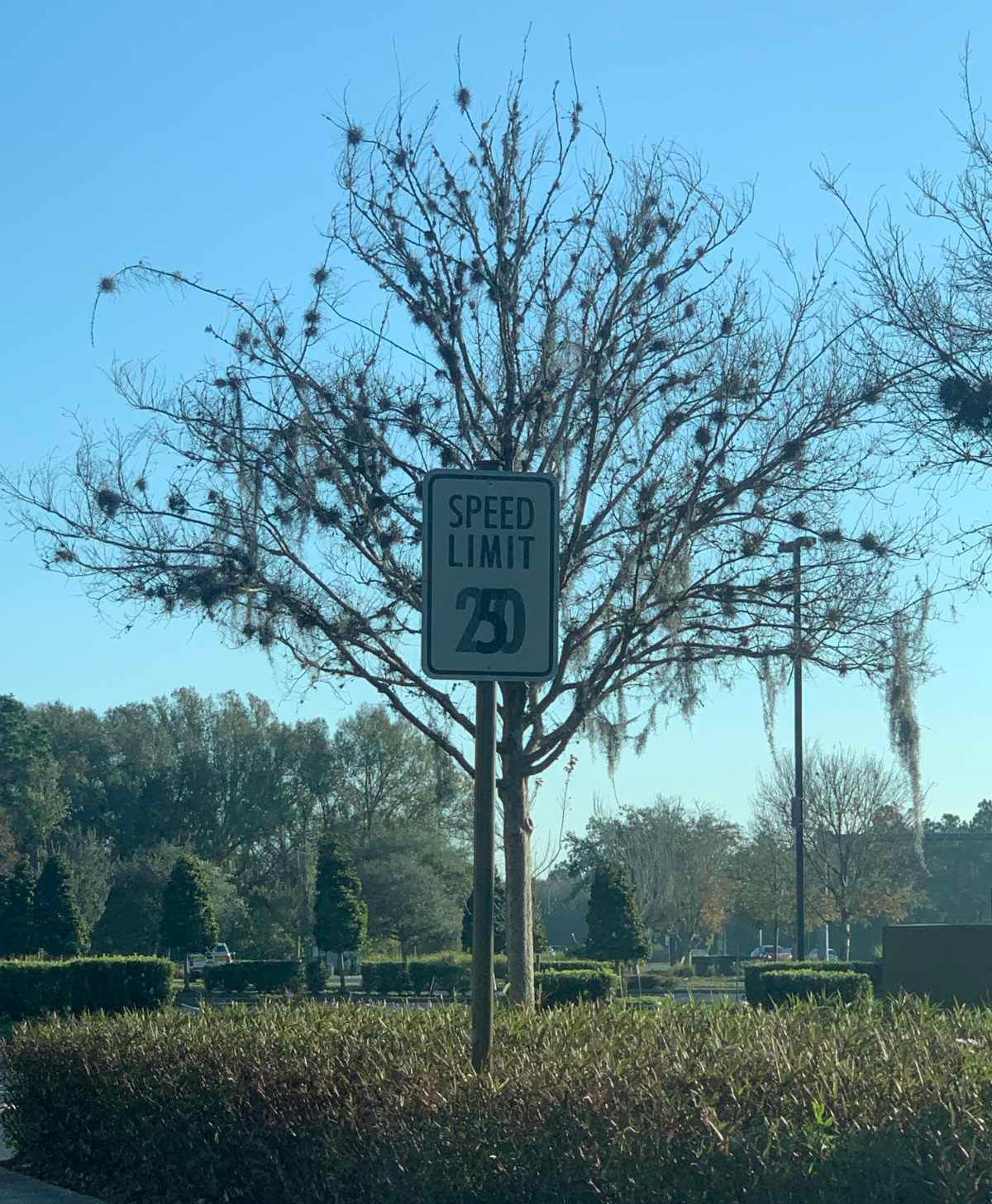 Gewoon een verzameling hilarische foto's #1771