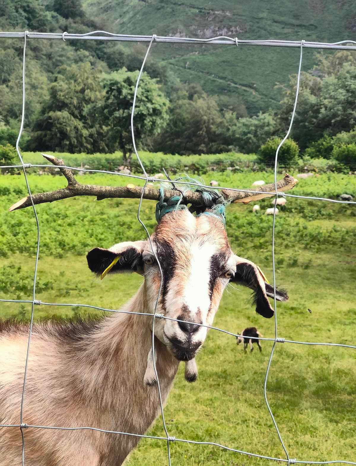 Gewoon een verzameling hilarische foto's #1771