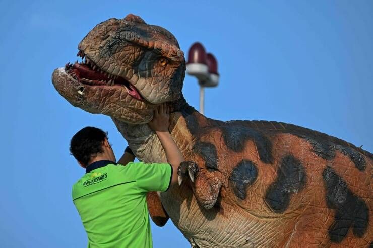 Gewoon een verzameling hilarische foto's #1771