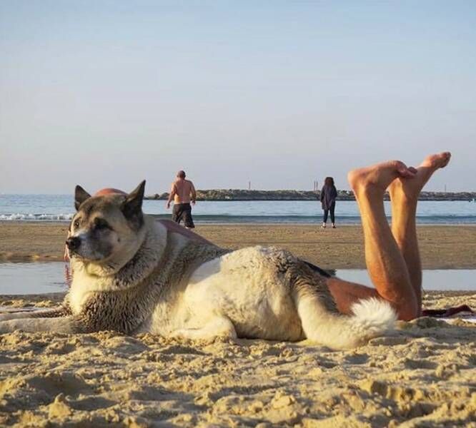 Gewoon een verzameling hilarische foto's #1771