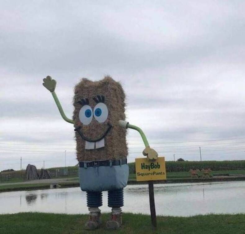 Gewoon een verzameling hilarische foto's #1771