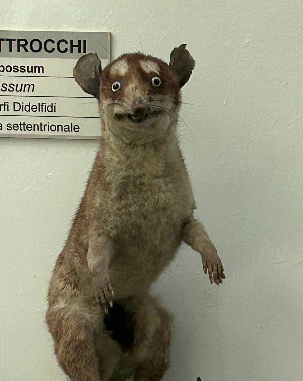 Gewoon een verzameling hilarische foto's #1771