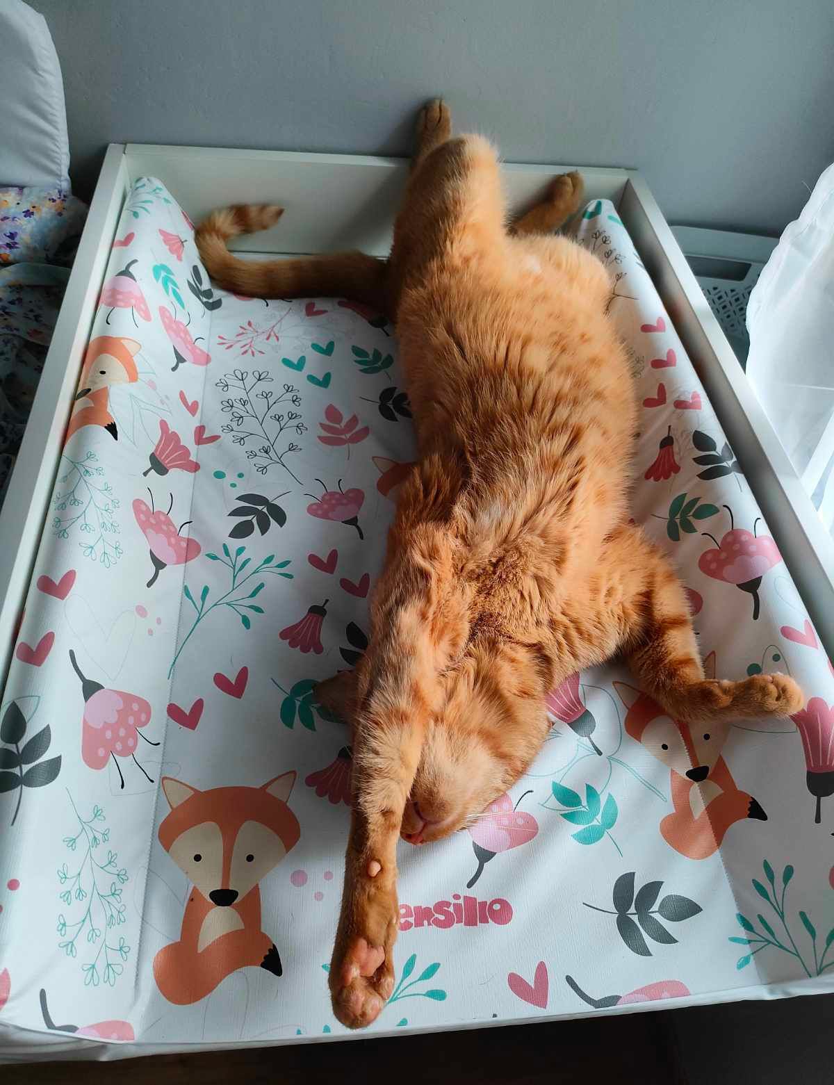 Gewoon een verzameling hilarische foto's #1771