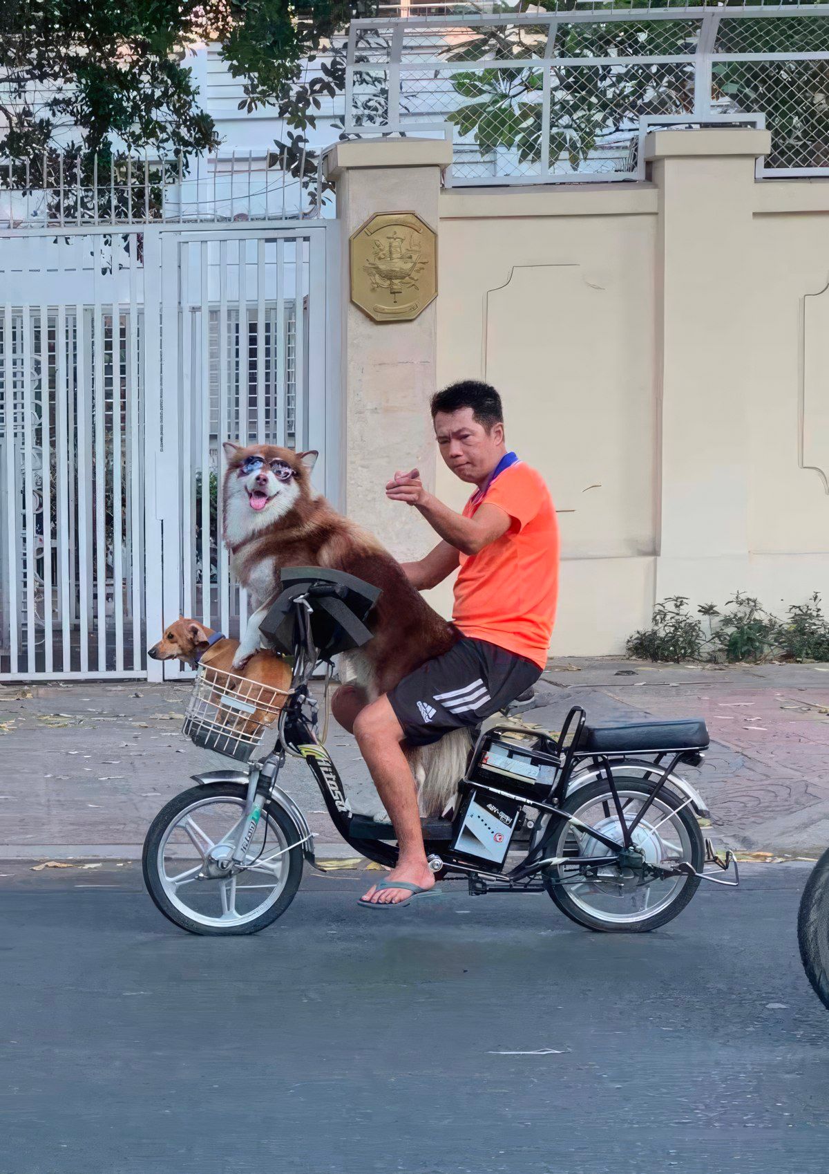 Gewoon een verzameling hilarische foto's #1762