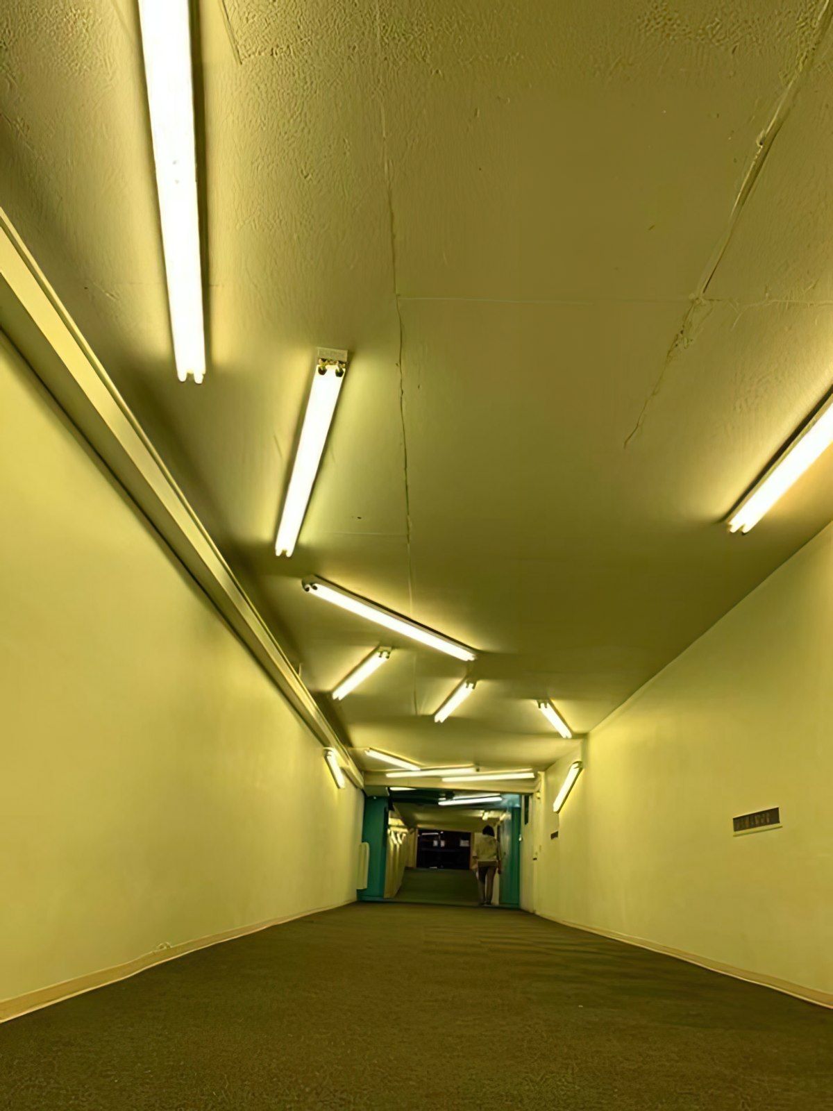 Gewoon een verzameling hilarische foto's #1763