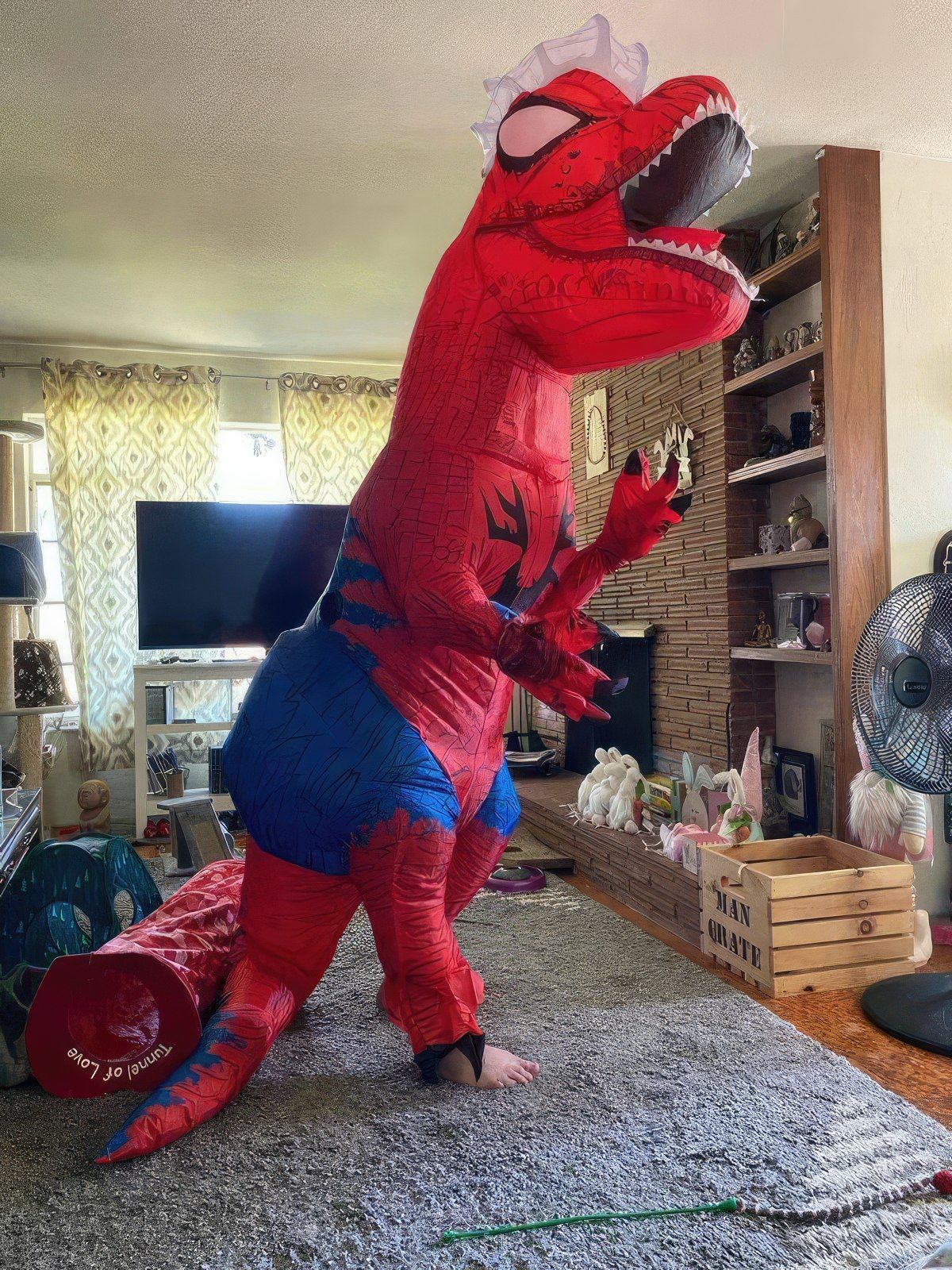 Gewoon een verzameling hilarische foto's #1763