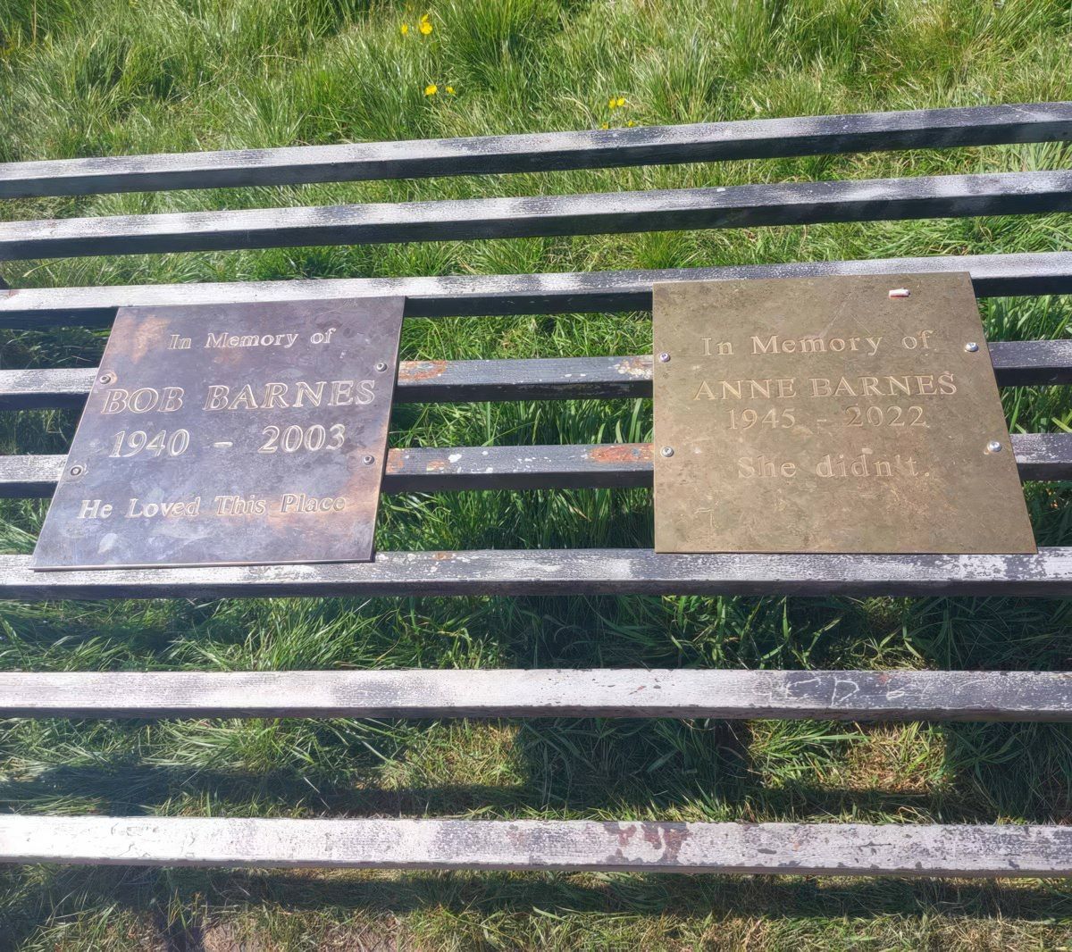 Gewoon een verzameling hilarische foto's #1763