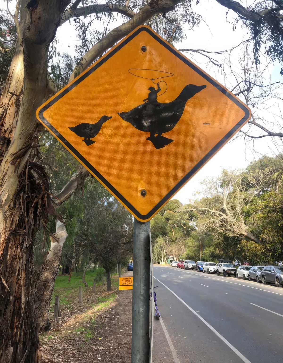 Gewoon een verzameling hilarische foto's #1763