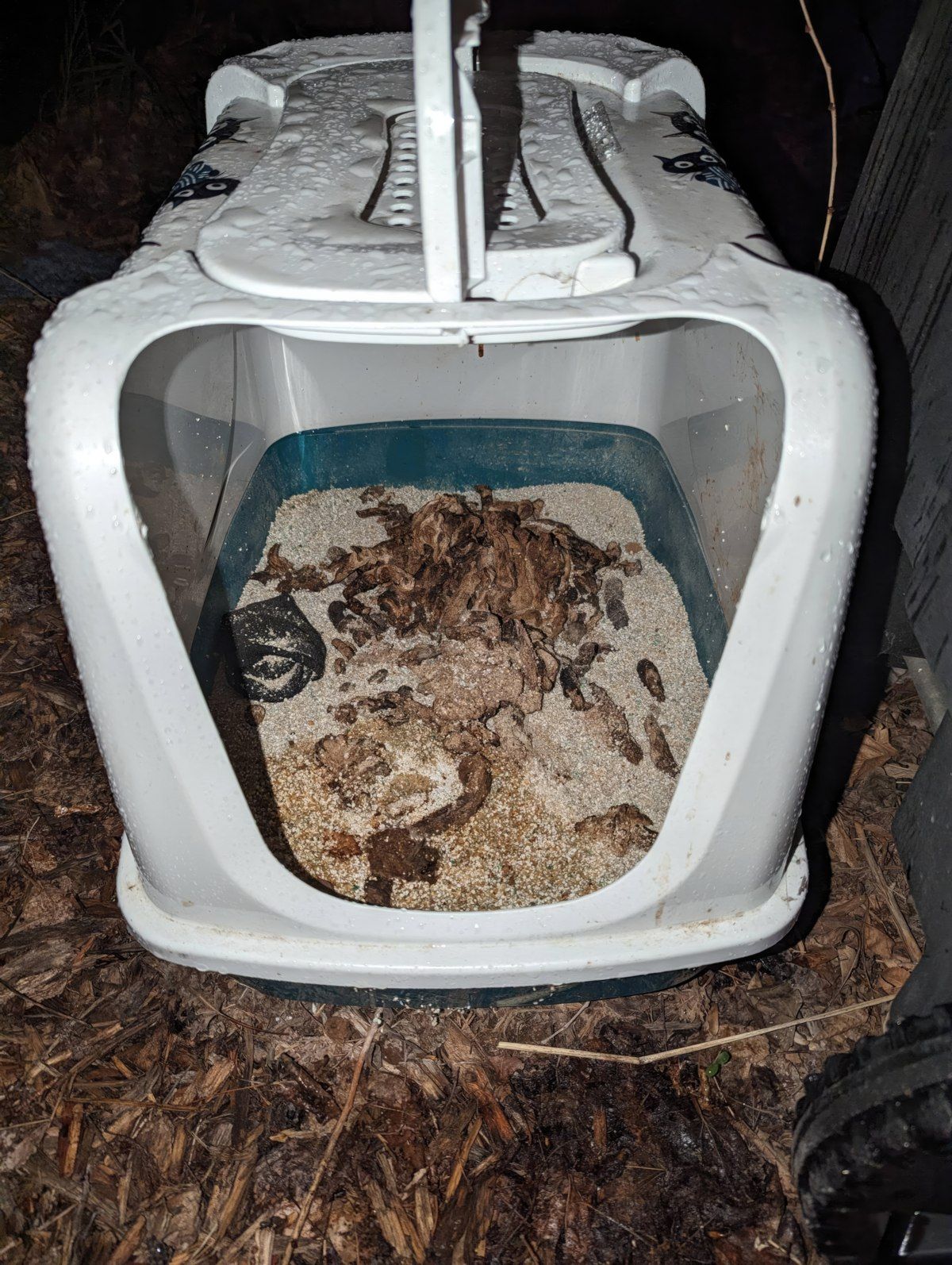 Gewoon een verzameling hilarische foto's #1763