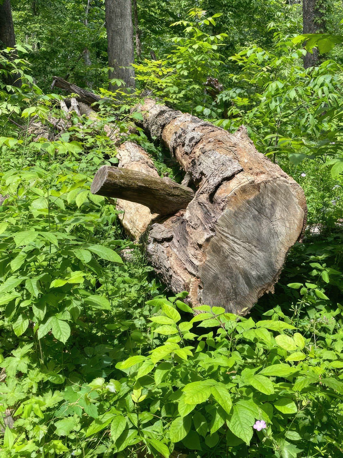 Gewoon een verzameling hilarische foto's #1763