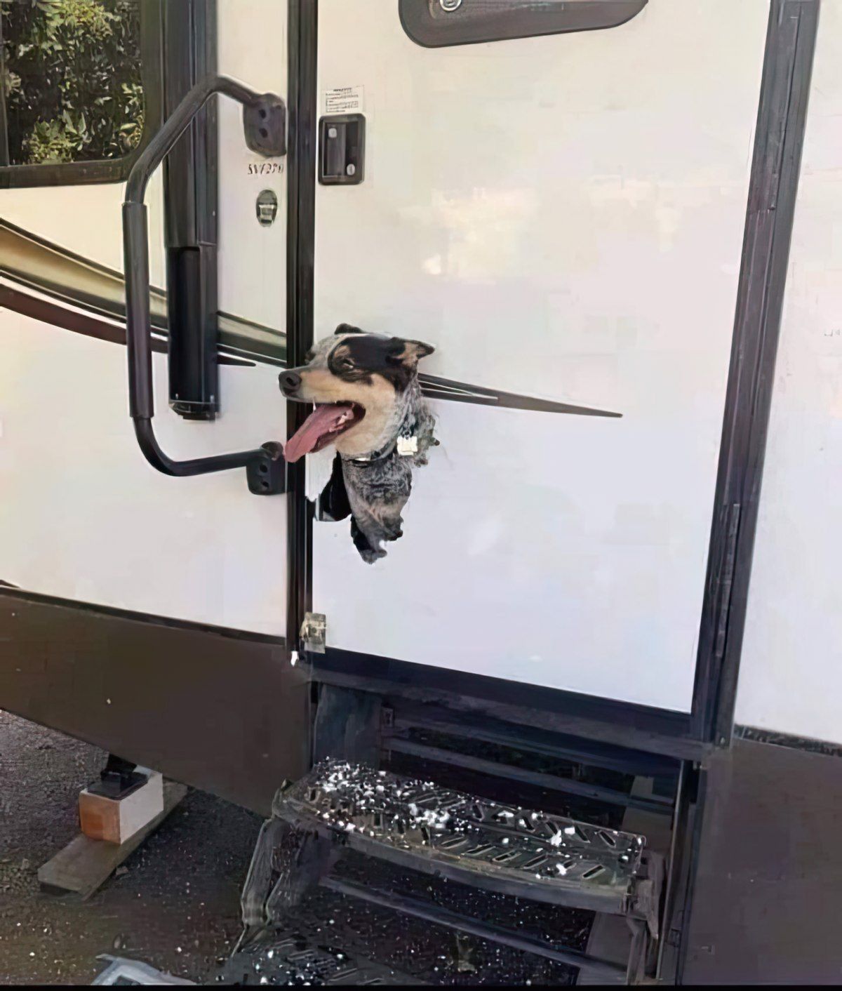 Gewoon een verzameling hilarische foto's #1763