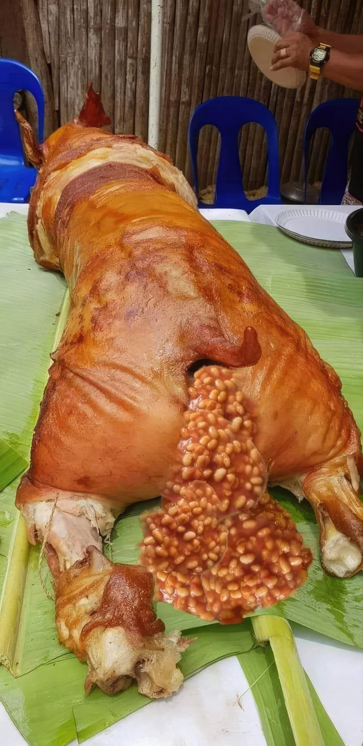 Gewoon een verzameling hilarische foto's #1763