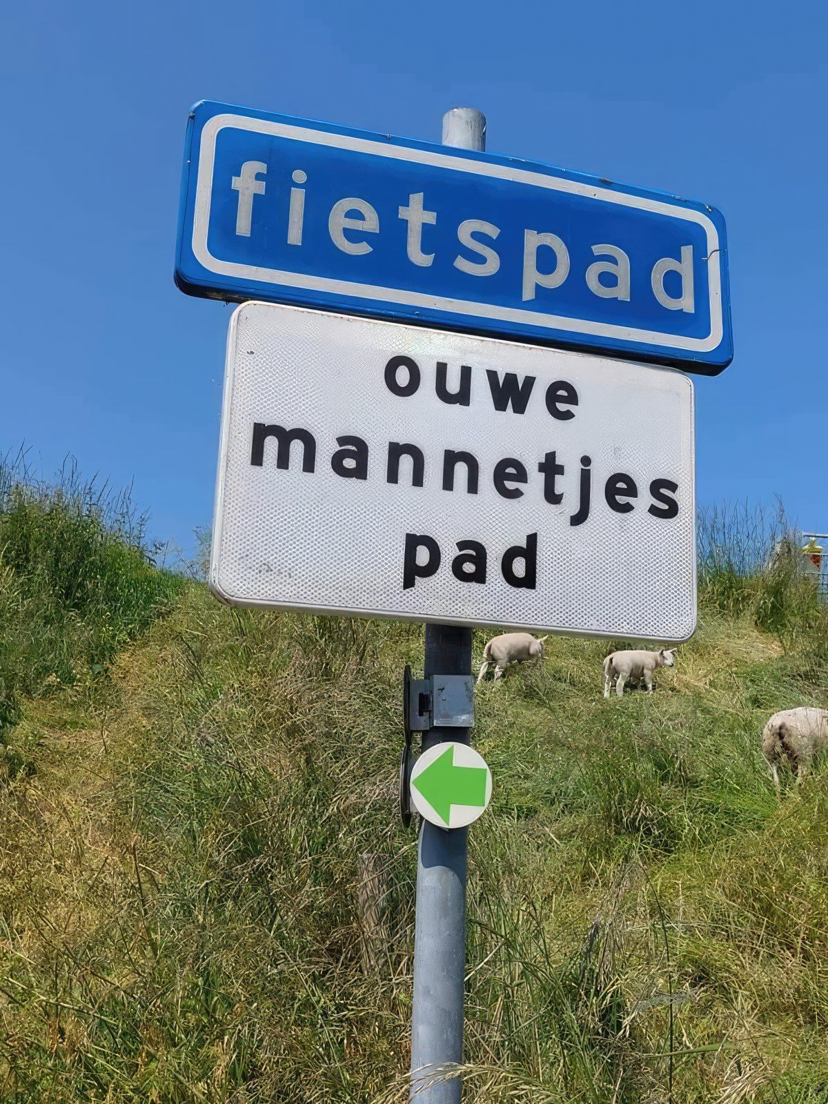 Gewoon een verzameling hilarische foto's #1763