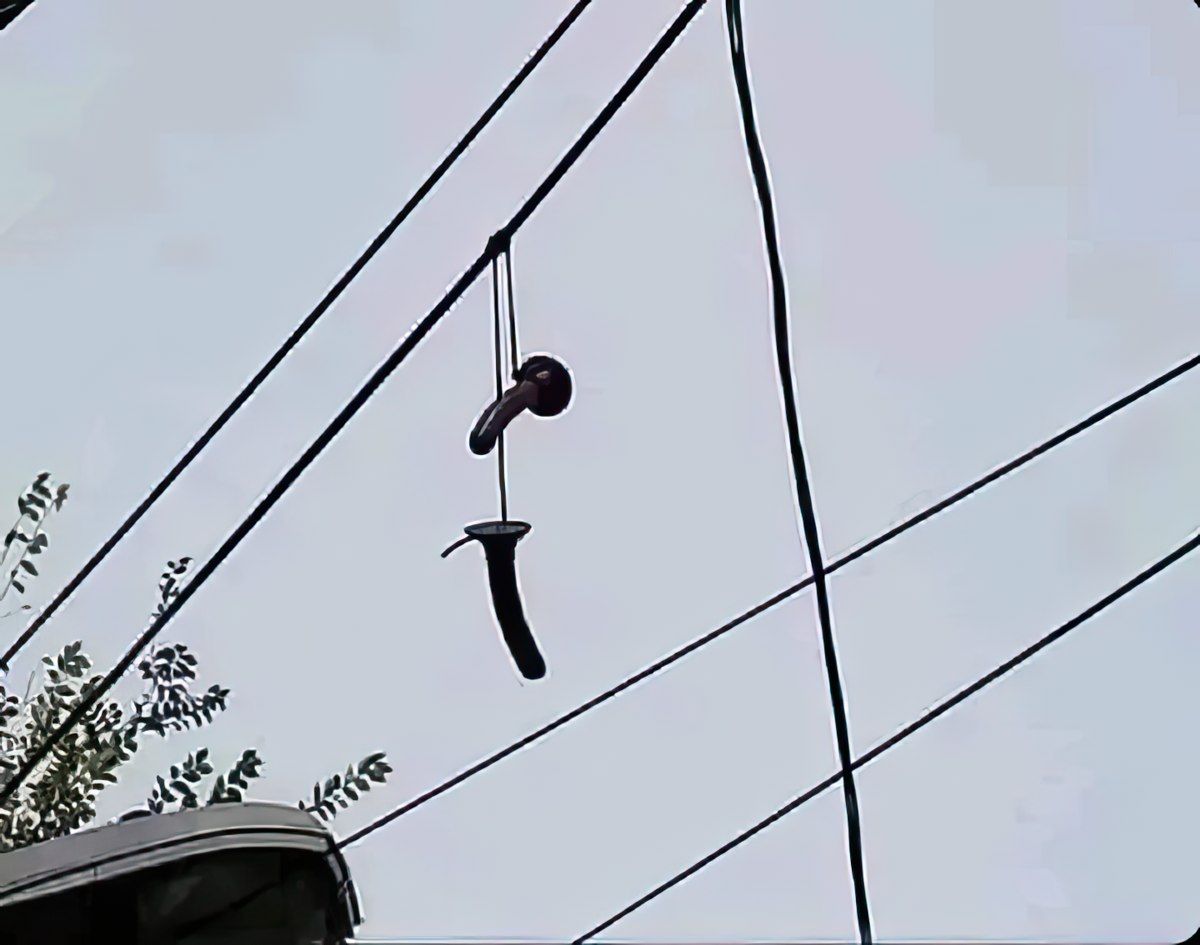 Gewoon een verzameling hilarische foto's #1763