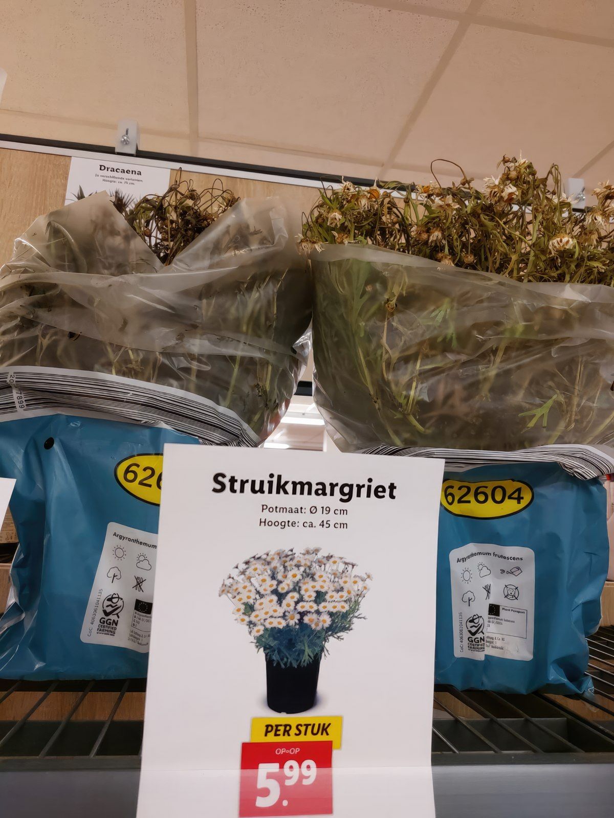 Gewoon een verzameling hilarische foto's #1763