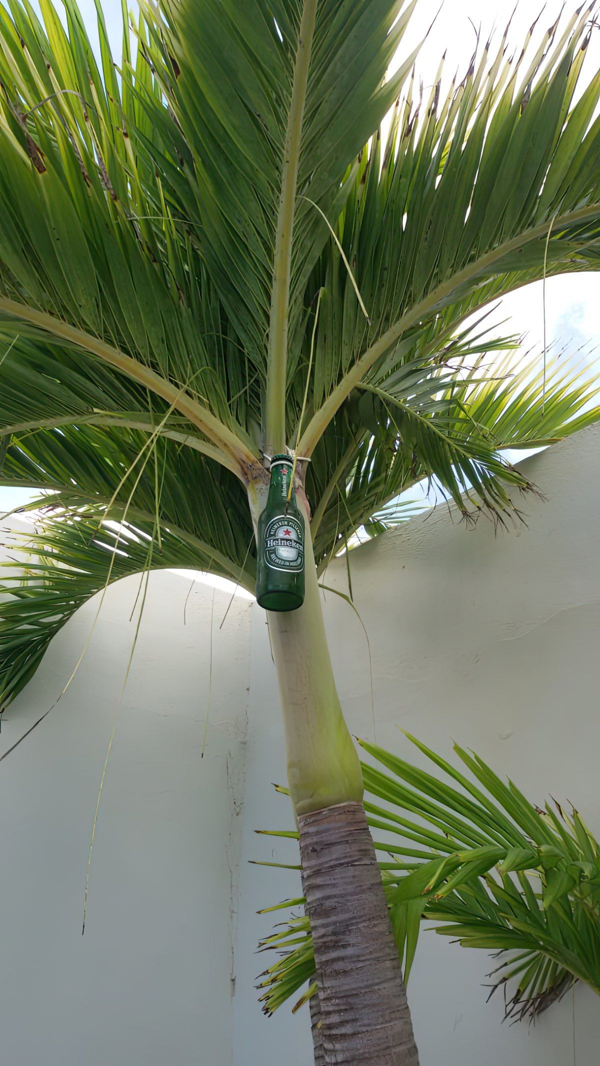 Gewoon een verzameling hilarische foto's #1763