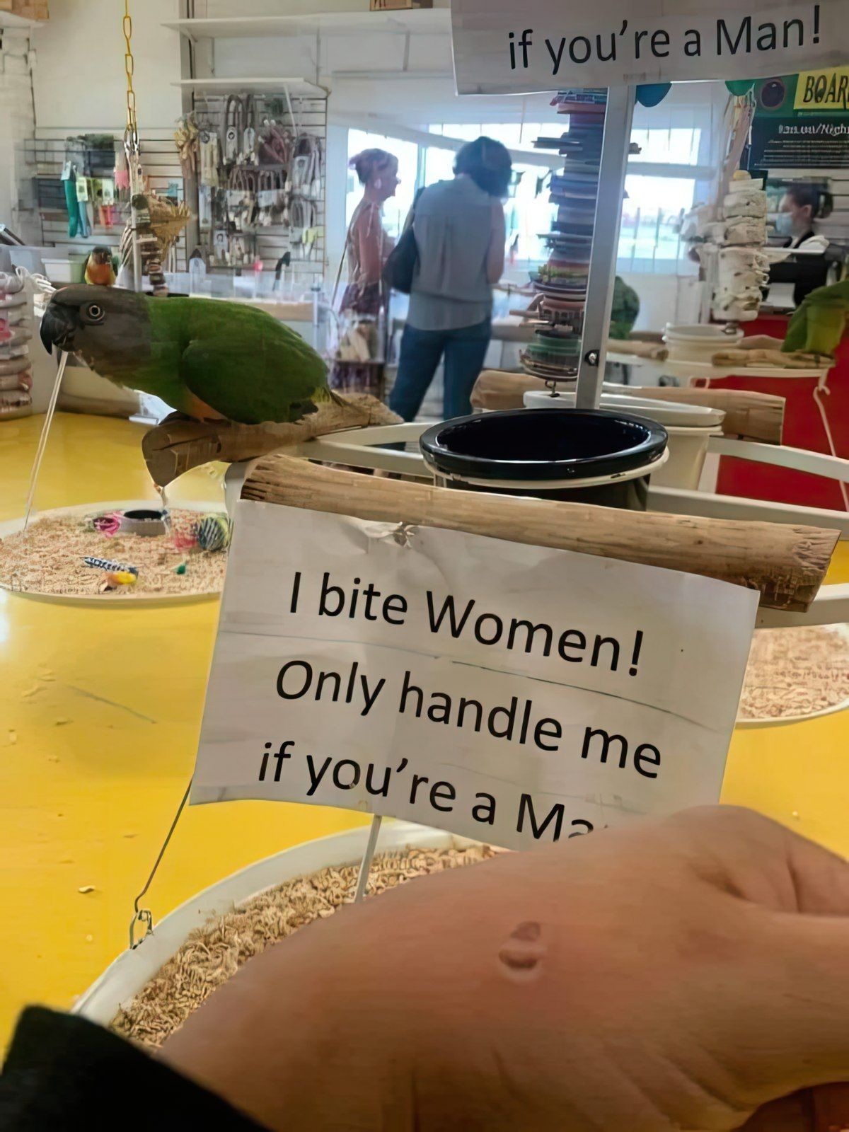 Gewoon een verzameling hilarische foto's #1763