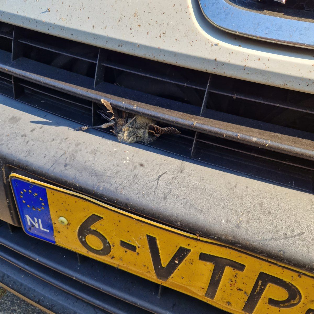 Gewoon een verzameling hilarische foto's #1763