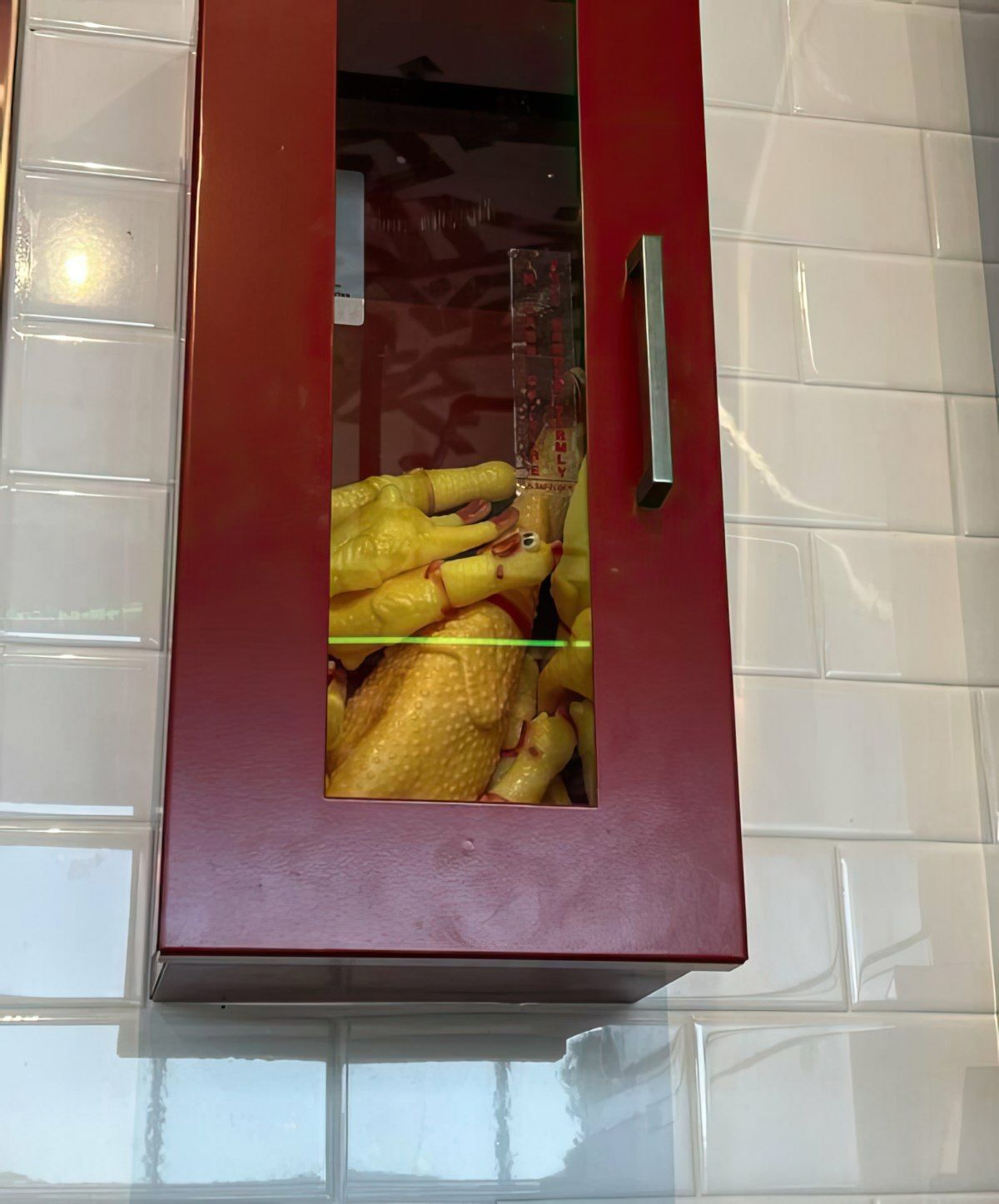 Gewoon een verzameling hilarische foto's #1766