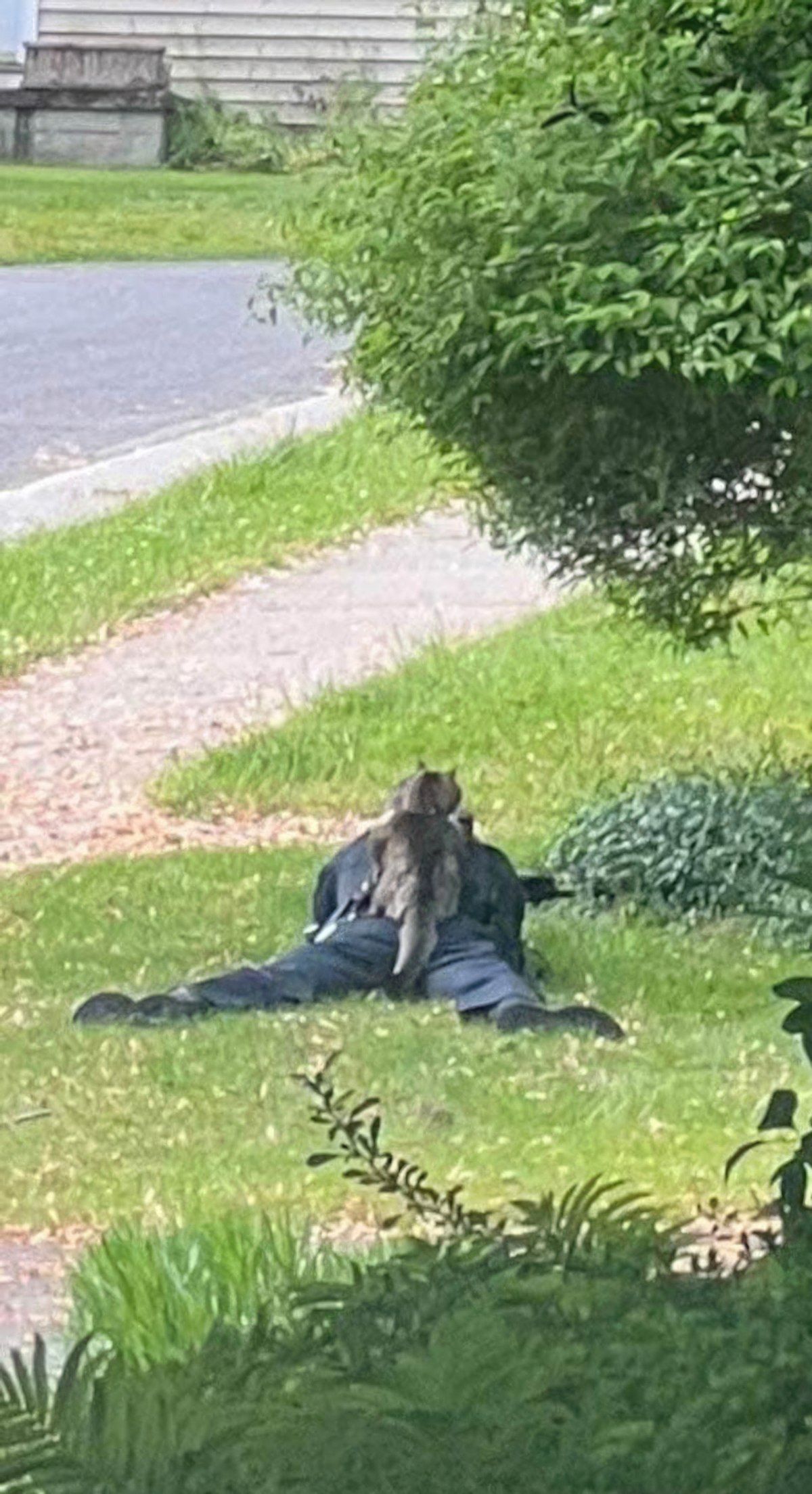 Gewoon een verzameling hilarische foto's #1766