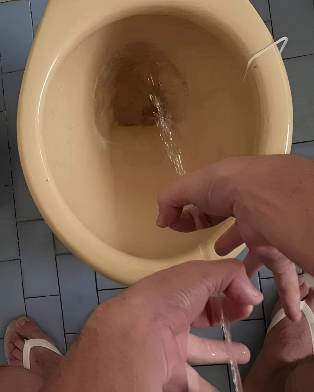 Gewoon een verzameling hilarische foto's #1766