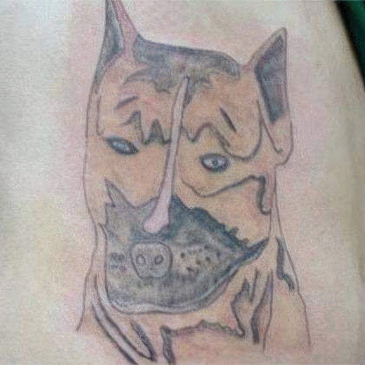 Gewoon een verzameling hilarische foto's #1766