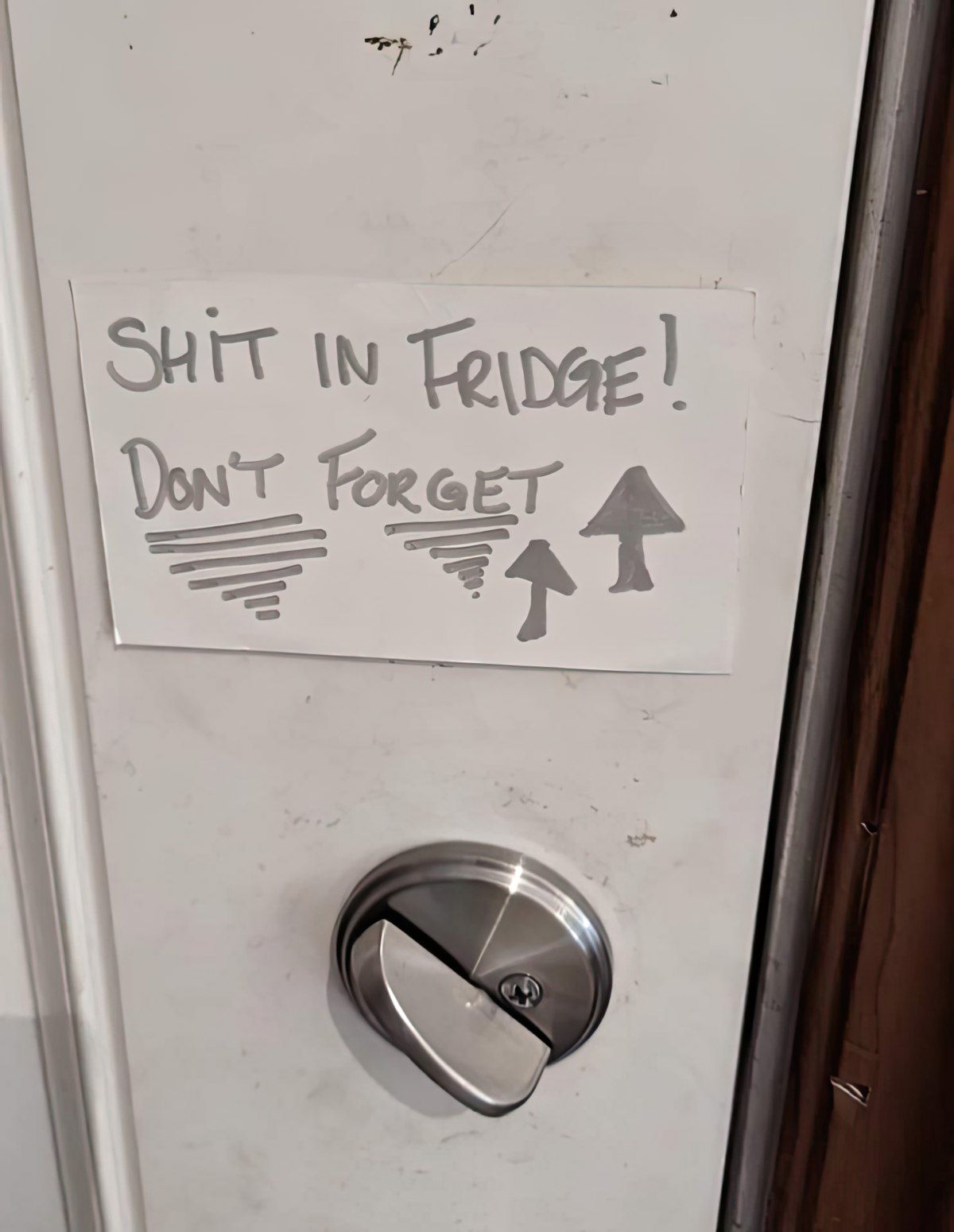 Gewoon een verzameling hilarische foto's #1766