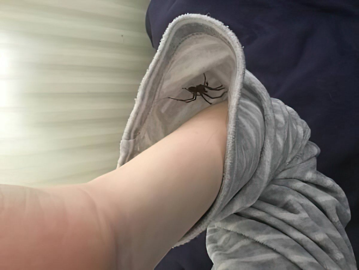 Gewoon een verzameling hilarische foto's #1772