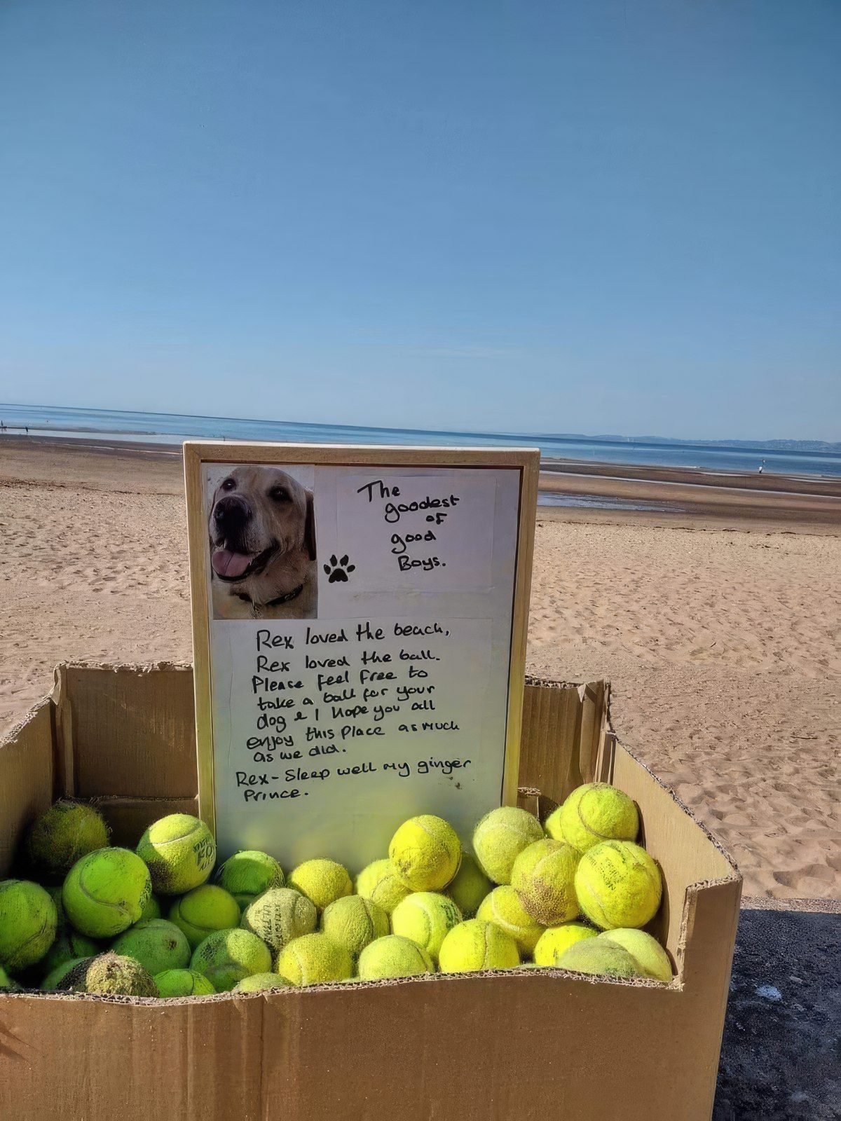 Gewoon een verzameling hilarische foto's #1772